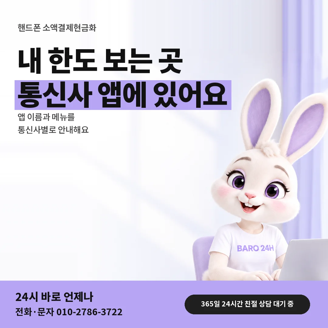 BARO 24H 티셔츠를 입은 3D 토끼 캐릭터 옆에 「핸드폰 소액결제현금화 한도 보는 곳」 제목을 얹은 안내 카드